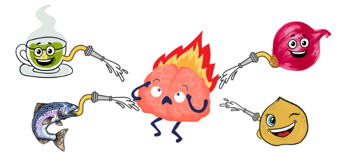 Is Butcher's broom anti-inflammatory.png